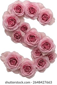 This image shows the letter "S" formed by an arrangement of numerous pink roses, creating a visually appealing and floral representation of the letter.