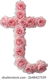 This image shows a letter "t" formed from multiple light pink roses, arranged meticulously to create the shape of the letter, against a stark white background.