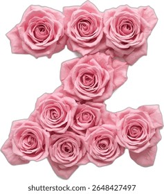 This image shows the letter "Z" artistically created using multiple pink roses, each rose meticulously arranged to form the shape of the letter.