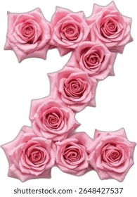 This image shows the letter "Z" artistically crafted using multiple pink roses, arranged to form the shape of the letter against a white background.
