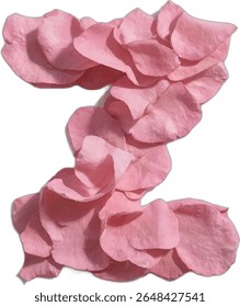 This image shows the letter "Z" artistically crafted from numerous soft pink rose petals, forming a visually appealing and unique representation of the alphabet.