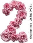 This image shows the number "2" artistically crafted from multiple pink roses, forming a visually appealing and elegant floral numeral suitable for various design applications.