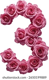This image shows the number "3" three formed from a collection of pink roses, each rose individually distinct but forming a cohesive numeral.