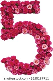 This image shows the number "5" formed by a vibrant arrangement of pink and fuchsia roses, creating a visually striking and elegant floral numeral.