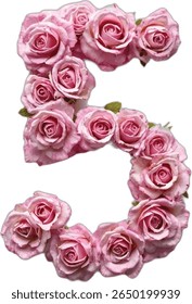 This image shows the number "5" formed from a collection of light pink roses, creating a floral arrangement that is both elegant and visually appealing.