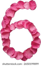 This image shows the number "6" six formed by many pink rose petals arranged together to create the shape of the numeral.