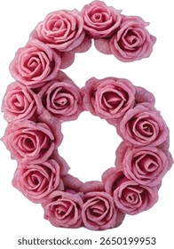 This image shows the number "6" six crafted from numerous pink roses, creating a visually appealing and unique representation of the digit.