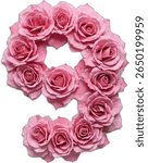 This image shows the number "9" nine formed by many light pink roses, creating a beautiful and unique floral numeral.