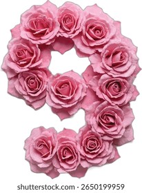 This image shows the number "9" nine formed by many light pink roses, creating a beautiful and unique floral numeral.