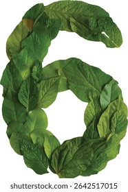 This image shows the number six formed from a collection of lush green leaves, creating a natural and organic representation of the numeral.