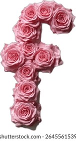 This image shows a stylized letter "F" created using pink roses, each rose meticulously arranged to form the shape of the letter, creating a visually appealing floral design.