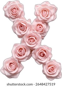This image shows a stylized letter "x" formed using nine light pink roses, each meticulously arranged to create the shape of the letter.