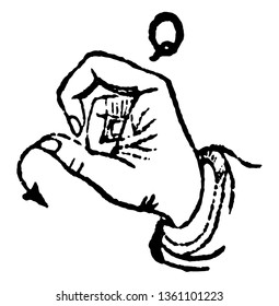 This image shows two signals of Q, vintage line drawing or engraving illustration.
