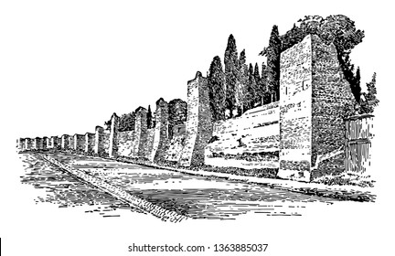This image shows the wall of Rome. The wall of Rome is made using pillars. Behind the wall there are many trees, vintage line drawing or engraving illustration.