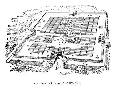 In this image there are many plots reserved for use as a military defensive position. The plots are in square format. There are many trees around the plot, vintage line drawing or engraving