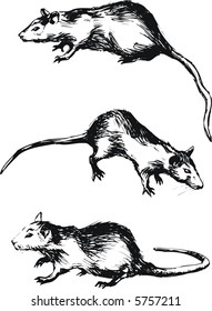 This image is a vector illustration and can be scaled to any size without loss of resolution. This image will download as a .eps file.