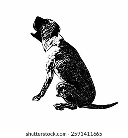 This image are vector illustrations of Brazilian dog breeds in poses and expressions. The black-and-white style with sharp details uniquely captures the physical characteristics and natural 