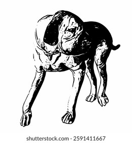 This image are vector illustrations of Brazilian dog breeds in poses and expressions. The black-and-white style with sharp details uniquely captures the physical characteristics and natural 