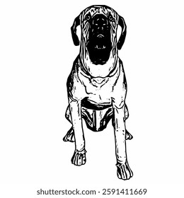 This image are vector illustrations of Brazilian dog breeds in poses and expressions. The black-and-white style with sharp details uniquely captures the physical characteristics and natural 