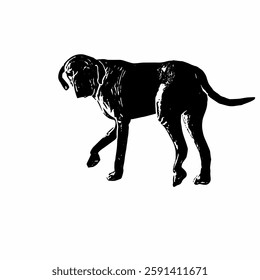 This image are vector illustrations of Brazilian dog breeds in poses and expressions. The black-and-white style with sharp details uniquely captures the physical characteristics and natural 