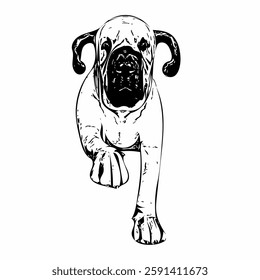 This image are vector illustrations of Brazilian dog breeds in poses and expressions. The black-and-white style with sharp details uniquely captures the physical characteristics and natural 