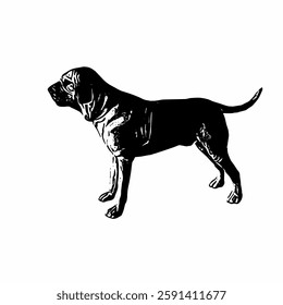 This image are vector illustrations of Brazilian dog breeds in poses and expressions. The black-and-white style with sharp details uniquely captures the physical characteristics and natural 