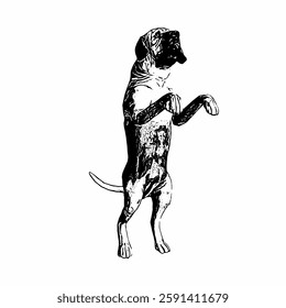 This image are vector illustrations of Brazilian dog breeds in poses and expressions. The black-and-white style with sharp details uniquely captures the physical characteristics and natural 