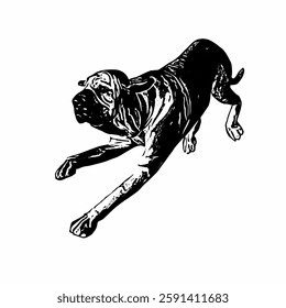 This image are vector illustrations of Brazilian dog breeds in poses and expressions. The black-and-white style with sharp details uniquely captures the physical characteristics and natural 