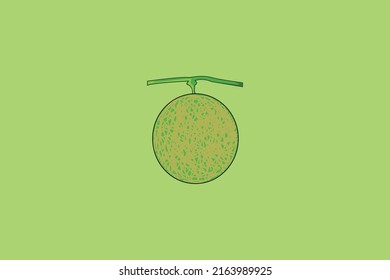 This image is a vector of melon that can be used as a symbol, background, and education for children