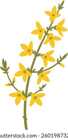 This imgae is a Yellow Forsythia Flower