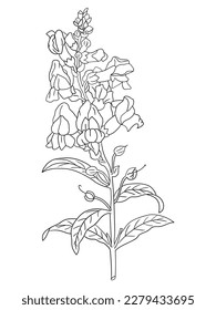 This intricate flower illustration is perfect for coloring enthusiasts of all ages. It features a variety of petals and leaves, ready to be brought to life with your favorite coloring tools.