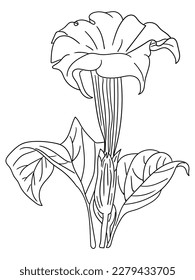 This intricate flower illustration is perfect for coloring enthusiasts of all ages. It features a variety of petals and leaves, ready to be brought to life with your favorite coloring tools.