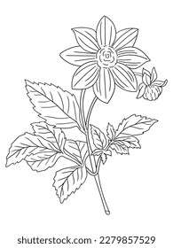 This intricate flower illustration is perfect for coloring enthusiasts of all ages. It features a variety of petals and leaves, ready to be brought to life with your favorite coloring tools.