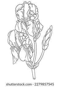 This intricate flower illustration is perfect for coloring enthusiasts of all ages. It features a variety of petals and leaves, ready to be brought to life with your favorite coloring tools.