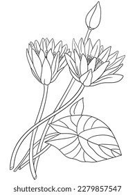 This intricate flower illustration is perfect for coloring enthusiasts of all ages. It features a variety of petals and leaves, ready to be brought to life with your favorite coloring tools.