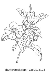 This intricate flower illustration is perfect for coloring enthusiasts of all ages. It features a variety of petals and leaves, ready to be brought to life with your favorite coloring tools.