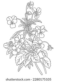 This intricate flower illustration is perfect for coloring enthusiasts of all ages. It features a variety of petals and leaves, ready to be brought to life with your favorite coloring tools.