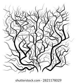This intricate monochrome vector graphic features a complex network of overlapping, stylized lines that resemble leafless winter tree branches or dense biological capillary systems. Rendered with varying line weights in shades of black and grey against a stark white backdrop, the design evokes an abstract sense of growth, confusion, and connectivity. It serves as an excellent visual texture for moody album covers, neural network concepts, gothic textile prints, and organic data network illustrations.#AbstractBranches #MonochromeArt #NeuralPathways #SpookyNature #VectorTexture #RootSystem #BareTrees #GraphicDesignAsset #OrganicNetworks #LineArt