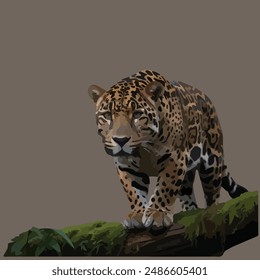 This is a Jaguar (Panthera onca)