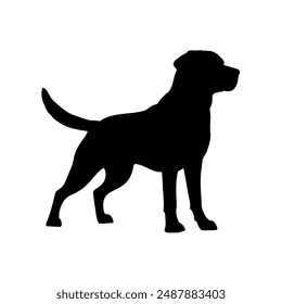 This is Labrador retriever Dog silhouette 