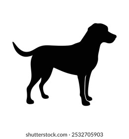 This is Labrador retriever Dog silhouette 