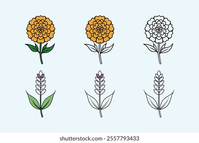 This Lavender and Marigold flower bundle features three distinct styles vibrant color, a combination of color and line art, and elegant black line art. Ideal for creative projects, art and decor.