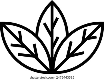 this is a leaf icon icon with outline and pixel perfect style this is one of the icons from the icon sets with Agriculture theme