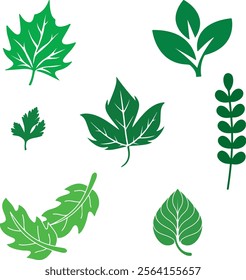 This leaf vector design features six distinct green leaf illustrations, including maple, parsley, abstract shapes, and minimalist styles, with bold outlines and natural aesthetics, for eco-friendly