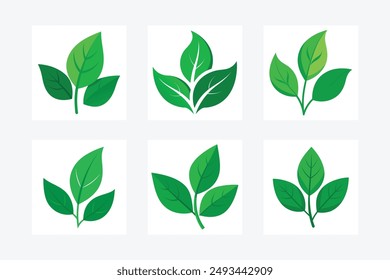 This is a leave logo vector illustration