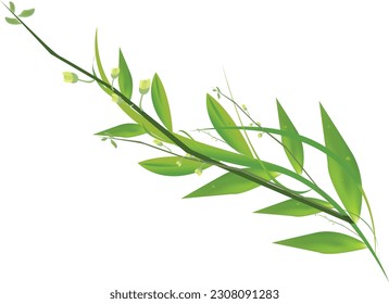 Este es el diseño de vectores de ramas vegetales de Leaves 