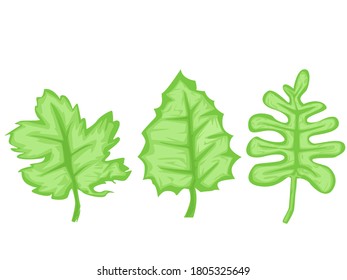 This is leaves and vector picture
