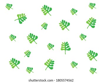 Esta es la imagen de las hojas y el vector
