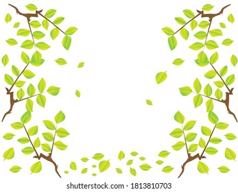 This is leaves and vector picture
