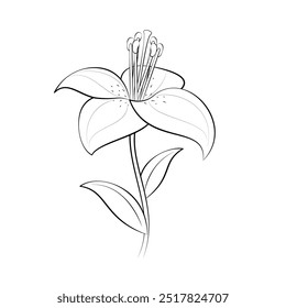 This  Lily clipart vector graphic is designed by me and can be used for personal as well as business and commercial purposes